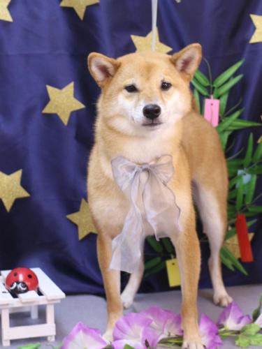 20230712シュウくん